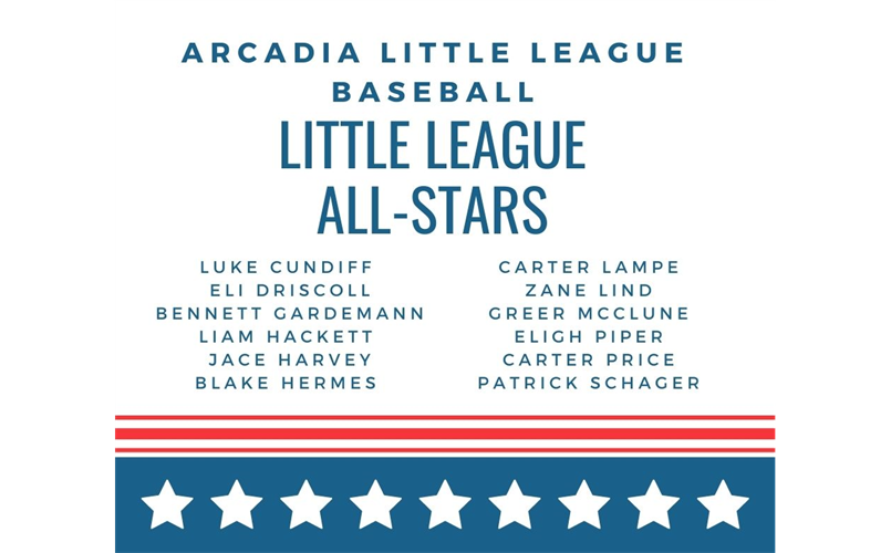 Baseball Little League All-Star