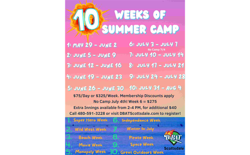 D-Bat Summer Camp